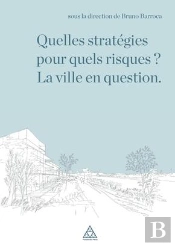 Quelles Strategies Pour Quels Risques  La Ville En Question
