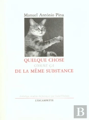Quelque Chose Comme Ça De La Même Substance