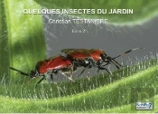 Quelques Insectes Du Jardin Tome 2