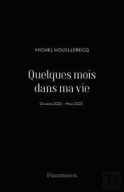 Quelques Mois Dans Ma Vie