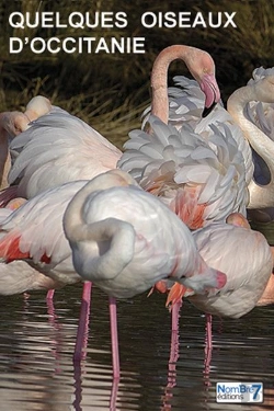 Bertrand.pt - Quelques Oiseaux D'Occitanie