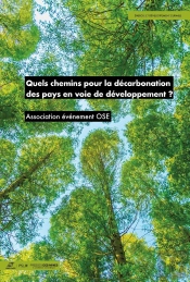 Quels Chemins Pour La Décarbonation Des Pays En Voie De Développement ?