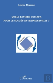 Quels Leviers Sociaux Pour Le Succès Entrepreneurial ?
