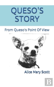 Queso'S Story