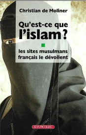 Qu'Est-Ce Que L'Islam ? Les Sites Musulmans Français Le Dévoilent