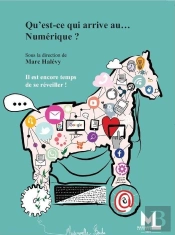 Qu'Est-Ce Qui Arrive Au..Numerique - Il Est Encore Temps De Se Reveiller