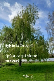 Qu'Est-Ce Qui Pleure En Vous ?