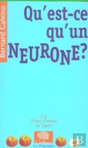 Qu'Est-Ce Qu'Un Neurone ?