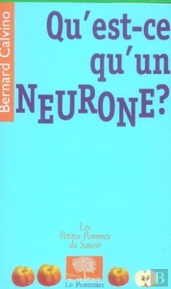 Bertrand.pt - Qu'Est-Ce Qu'Un Neurone ?