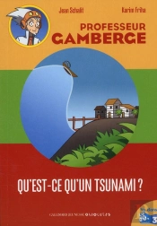 Qu'Est-Ce Qu'Un Tsunami?