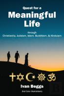 Quest For A Meaningfu Life