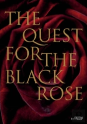 Quest For The Black Rose