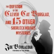 Question Of The Clever Cat Burglar, And 15 Other Sherlock Holmes Mysteries
