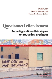 Questionner L'Effondrement : Reconfigurations Théoriques Et Nouvelles Pratiques