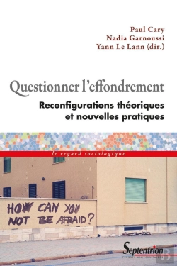 Bertrand.pt - Questionner L'Effondrement : Reconfigurations Théoriques Et Nouvelles Pratiques