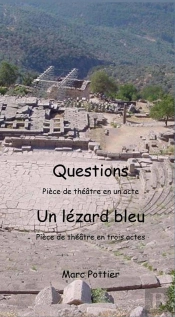 Questions Et Un Lézard Bleu