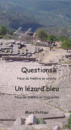 Bertrand.pt - Questions Et Un Lézard Bleu