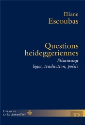 Questions Heideggeriennes