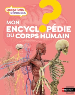 Bertrand.pt - Questions Réponses 7+ : L'Encyclopédie Du Corps Humain