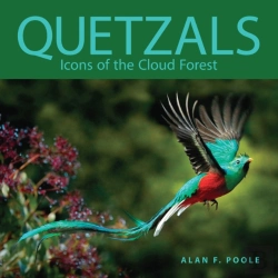 Bertrand.pt - Quetzals