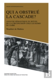 Qui A Obstrue La Cascade?