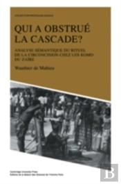 Qui A Obstrue La Cascade?