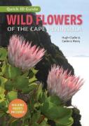 Quick Id Guide: Wild Flowers Of The Cape Peninsula