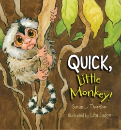 Bertrand.pt - Quick, Little Monkey!