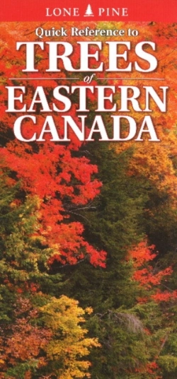 Bertrand.pt - Quick Reference To Trees Of Eastern Canada