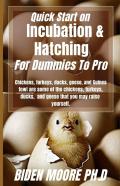 Quick Start On Incubation & Hatching For Dummies To Pro
