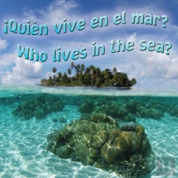 Bertrand.pt - Quien Vive En El Mar?