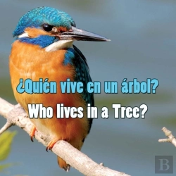 Bertrand.pt - Quien Vive En Un Arbol?