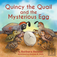 Quincy The Quail And The Mysterious Egg