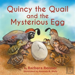 Bertrand.pt - Quincy The Quail And The Mysterious Egg