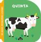 Quinta