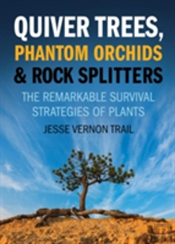 Bertrand.pt - Quiver Trees, Phantom Orchids And Rock Splitters