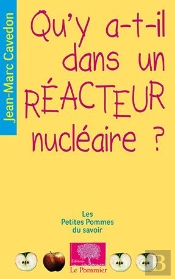Qu'Y A-T-Il Dans Un Réacteur Nucléaire ?