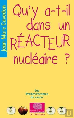 Bertrand.pt - Qu'Y A-T-Il Dans Un Réacteur Nucléaire ?