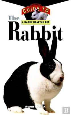 Bertrand.pt - Rabbit