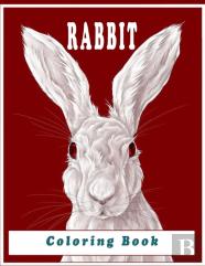 Rabbit Coloring Book
