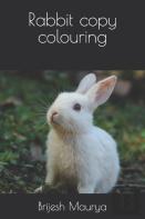 Rabbit Copy Colouring