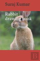 Rabbit Drawing Book