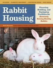 Rabbit Housing