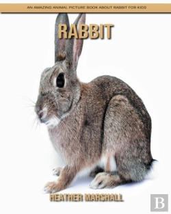 Bertrand.pt - Rabbit