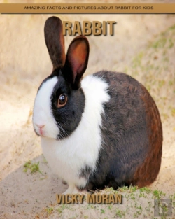 Bertrand.pt - Rabbit