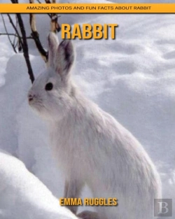 Bertrand.pt - Rabbit