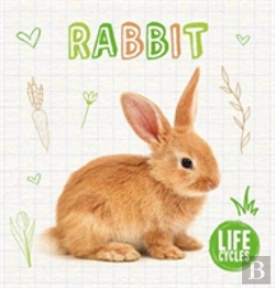 Bertrand.pt - Rabbit