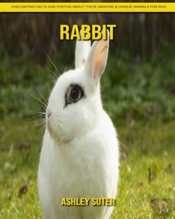 Bertrand.pt - Rabbit
