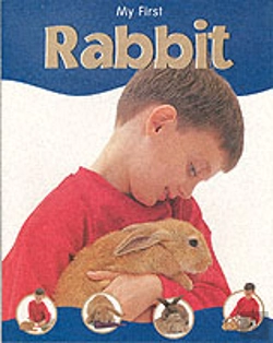 Bertrand.pt - Rabbit
