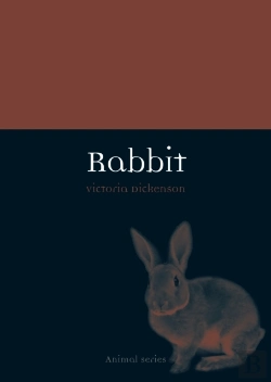 Bertrand.pt - Rabbit